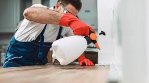 Best Termite Inspection and Treatment  in Round Lake Heights, IL